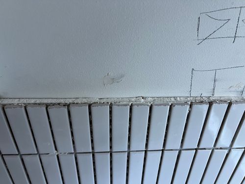 IMG_2550.jpeg IMG_2550.jpeg