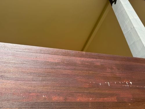 IMG_8224.jpeg IMG_8224.jpeg