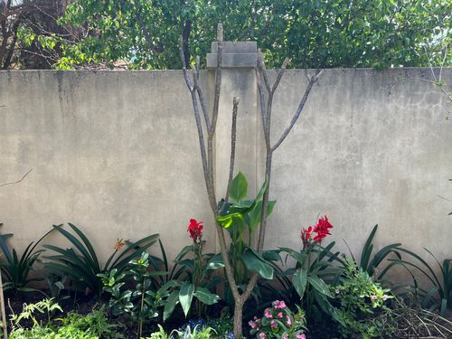 CF4ADC6D-C161-468A-AB70-B923D0F9F74C.jpeg CF4ADC6D-C161-468A-AB70-B923D0F9F74C.jpeg