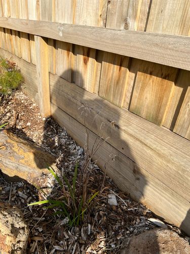 IMG_3693.jpeg IMG_3693.jpeg