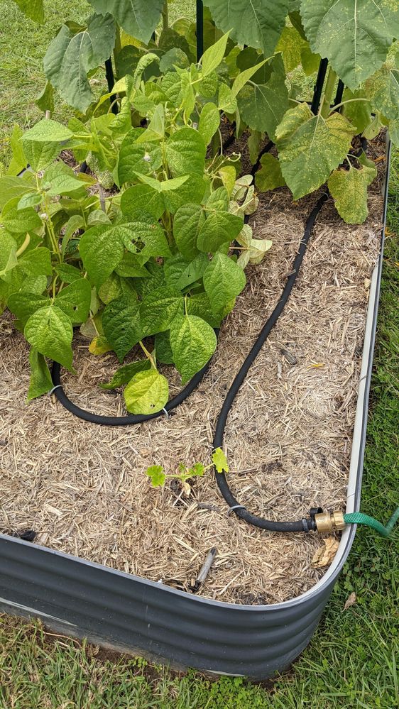 PXL_20210209_001822733.jpg PXL_20210209_001822733.jpg