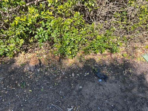 IMG_7044.jpeg IMG_7044.jpeg