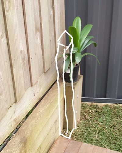 20200822_175130.jpg 20200822_175130.jpg