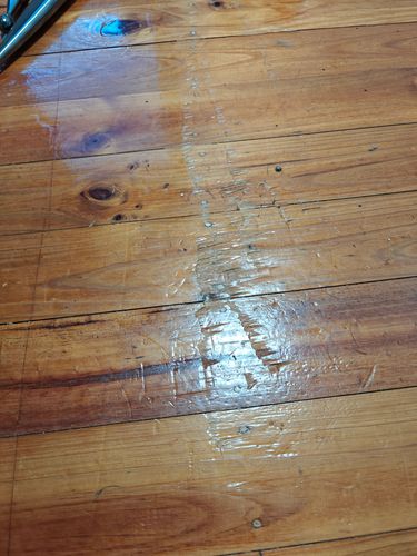 1000011010.jpg 1000011010.jpg