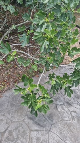 1000018764.jpg 1000018764.jpg