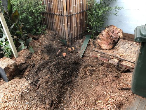 D9706494-3E14-44BB-9677-0C6F81D2D2BA.jpeg D9706494-3E14-44BB-9677-0C6F81D2D2BA.jpeg