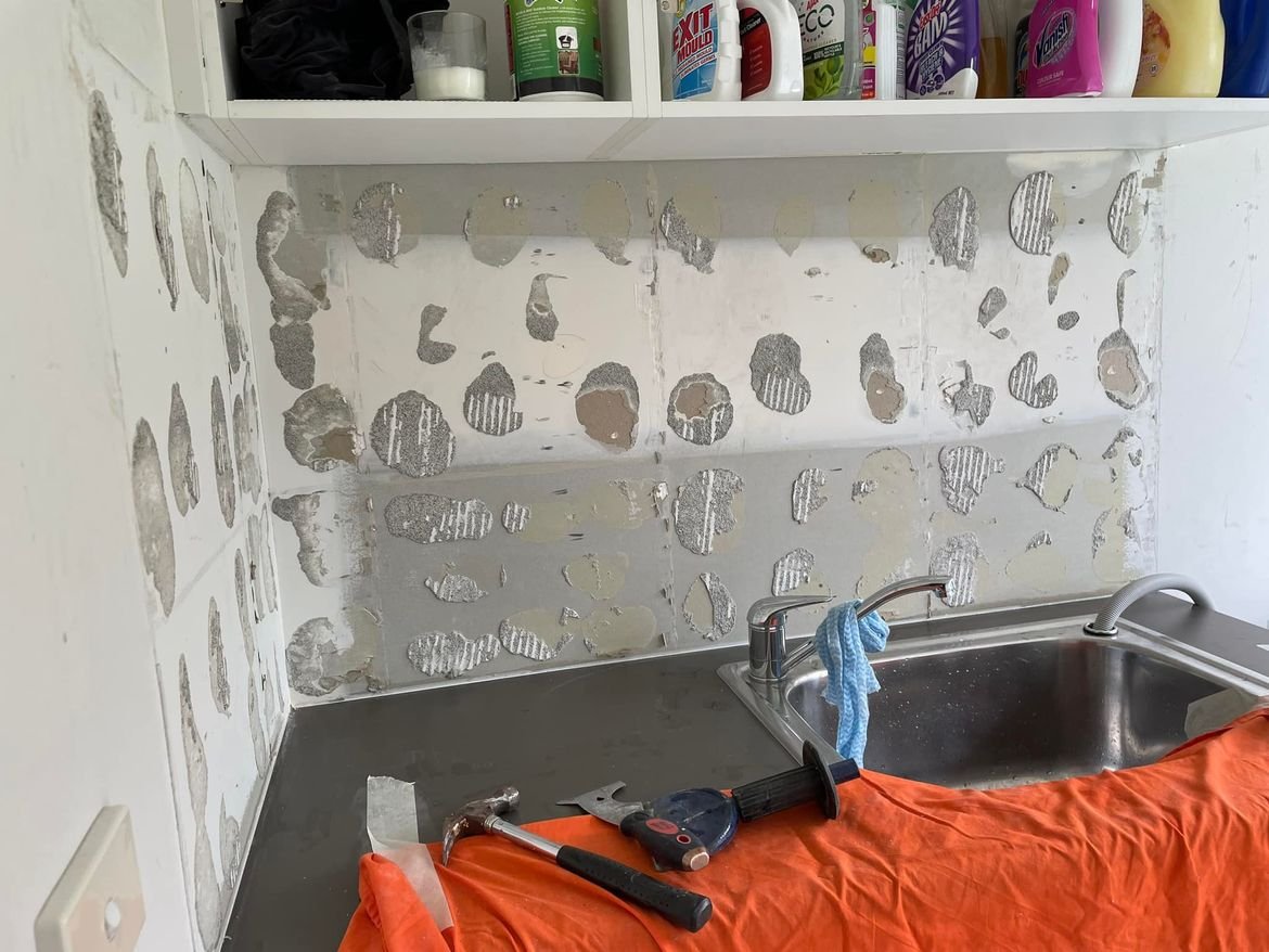 268802206_10225924900407016_8740887595980674464_n.jpeg 268802206_10225924900407016_8740887595980674464_n.jpeg