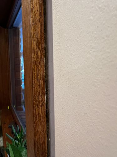 IMG_2870.jpeg IMG_2870.jpeg