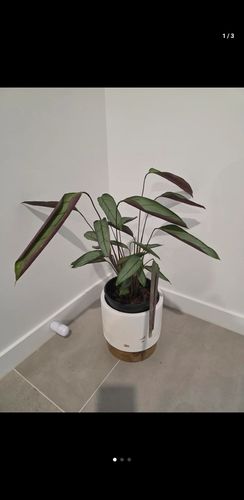 1000012426.jpg 1000012426.jpg