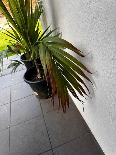 IMG_2275.jpeg IMG_2275.jpeg