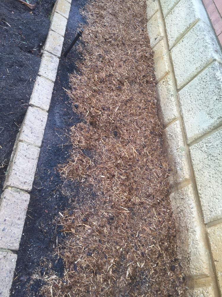 8ABD3A85-8E7B-472E-9186-874D0F0709BF.jpeg 8ABD3A85-8E7B-472E-9186-874D0F0709BF.jpeg