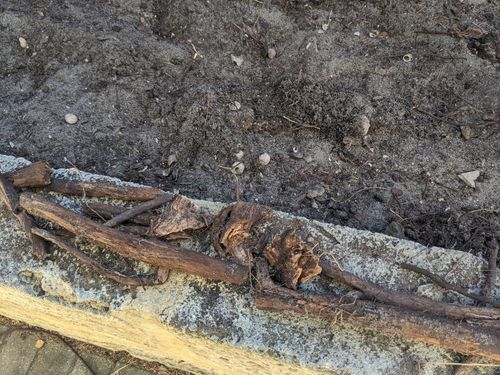 1000018470.jpg 1000018470.jpg