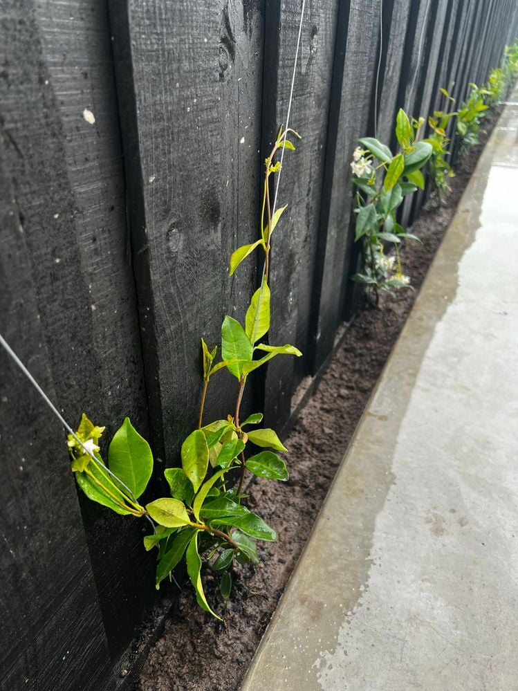 Image (4).jpg Image (4).jpg