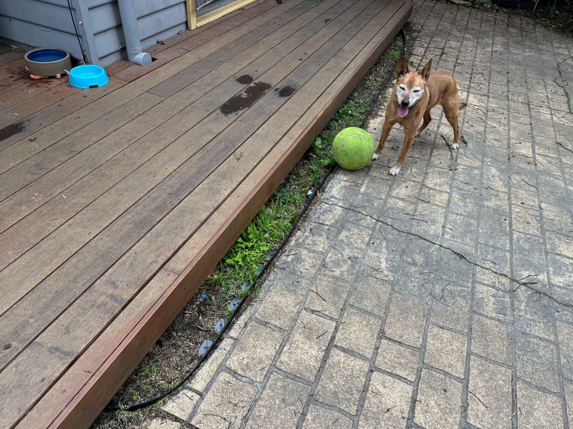 IMG_0658.jpeg IMG_0658.jpeg