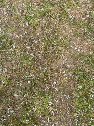 IMG_0916.jpeg IMG_0916.jpeg