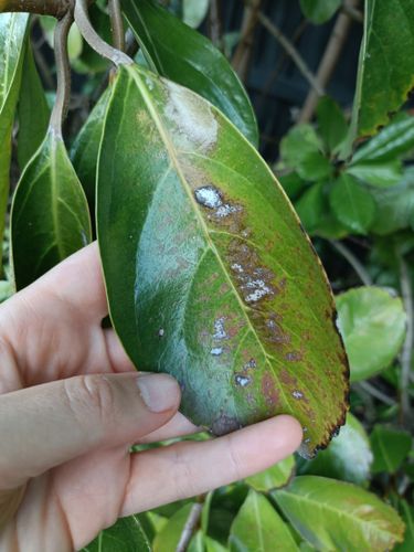 1000024873.jpg 1000024873.jpg