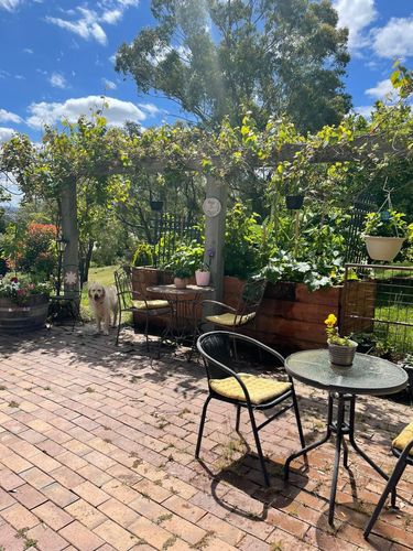 8A326742-B942-42E2-9B07-ECF2E7E64E15.jpeg 8A326742-B942-42E2-9B07-ECF2E7E64E15.jpeg