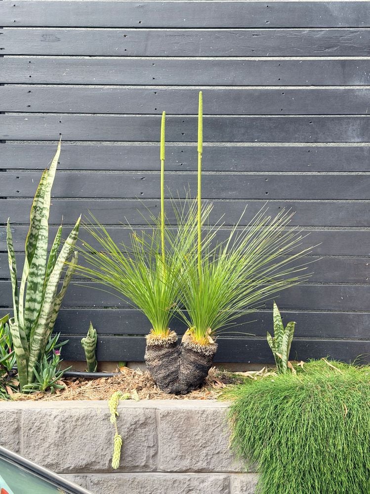 IMG_0276.JPG IMG_0276.JPG