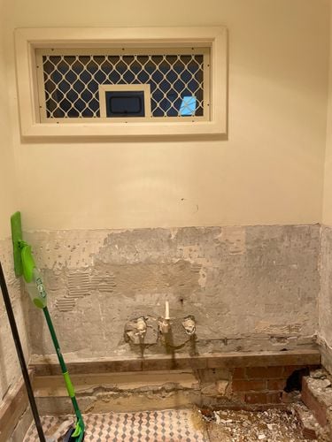 IMG_4267.jpeg IMG_4267.jpeg