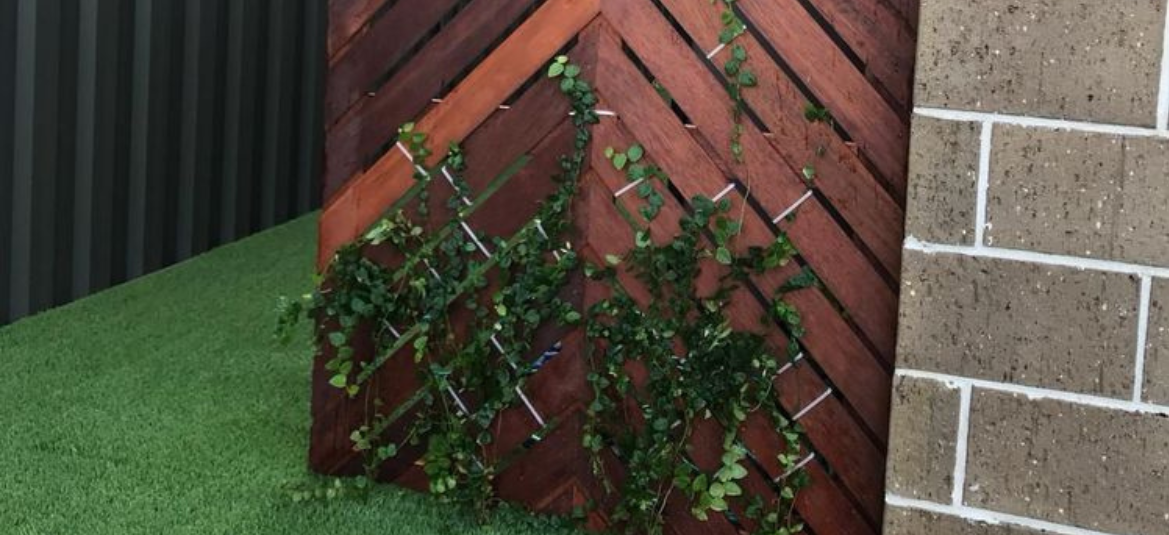 Screen.png Screen.png