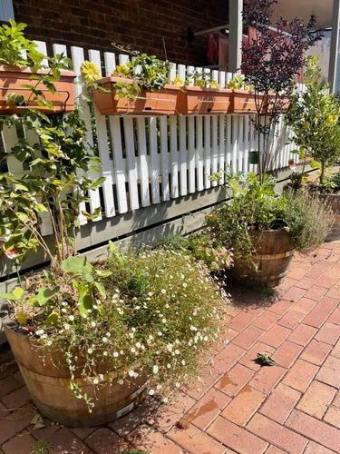 0BEF0B26-2134-4356-9D06-8867256C84C0.jpeg 0BEF0B26-2134-4356-9D06-8867256C84C0.jpeg