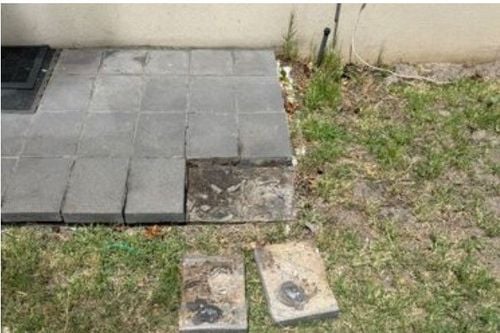 2025-03-03 190814.jpg 2025-03-03 190814.jpg