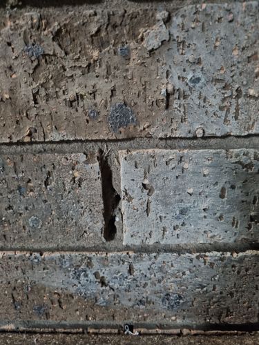 1000049624.jpg 1000049624.jpg