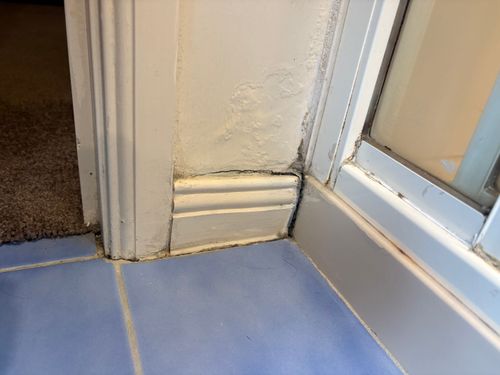 IMG_7629.jpeg IMG_7629.jpeg