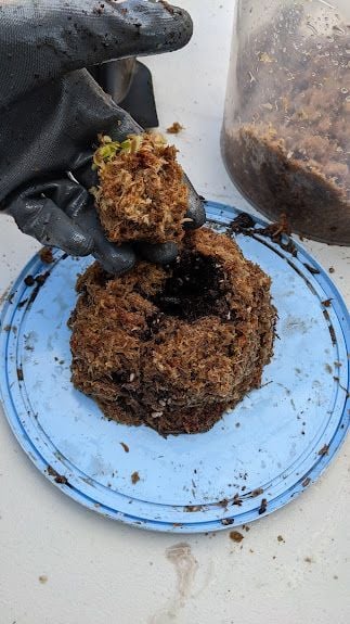 PXL_20240727_053547350.jpg PXL_20240727_053547350.jpg