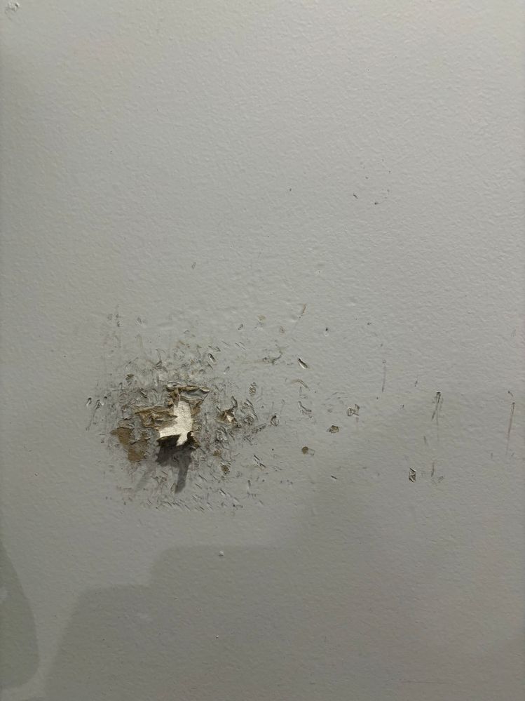 IMG_7405.jpg IMG_7405.jpg