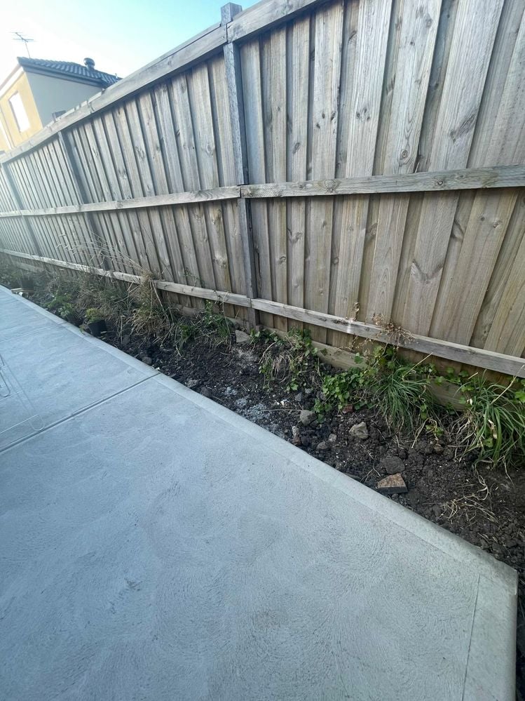 IMG_9443.jpeg IMG_9443.jpeg