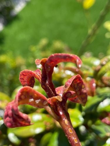 IMG_4122.jpeg IMG_4122.jpeg