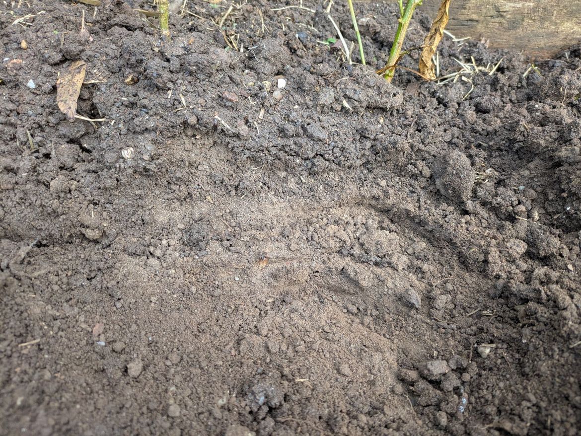 PXL_20251030_203126044.jpeg PXL_20251030_203126044.jpeg