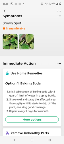 1000072388.png 1000072388.png