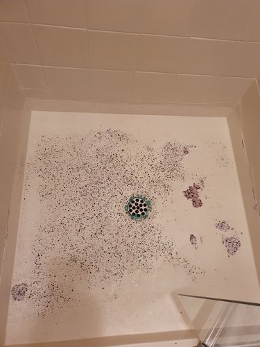 20230426_052950.jpg 20230426_052950.jpg