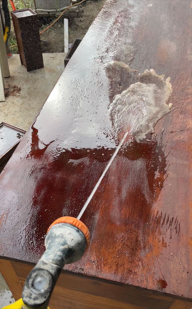 IMG_18CF5C3E0199-1.jpeg IMG_18CF5C3E0199-1.jpeg