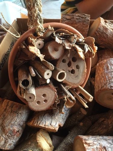 112610B5-5CBA-44A4-8921-FECE45A8ED6D.jpeg 112610B5-5CBA-44A4-8921-FECE45A8ED6D.jpeg