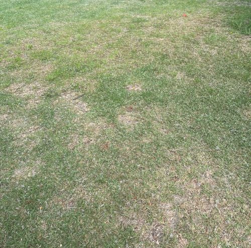 IMG_0915.jpeg IMG_0915.jpeg