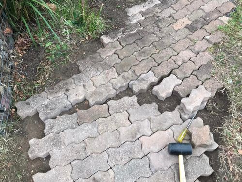 15 13-08-2023.jpg 15 13-08-2023.jpg