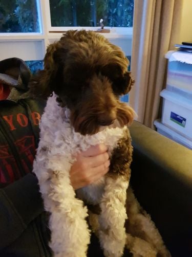 20190927_182212.jpg 20190927_182212.jpg