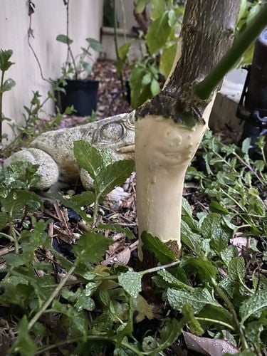 IMG_9998.jpeg IMG_9998.jpeg