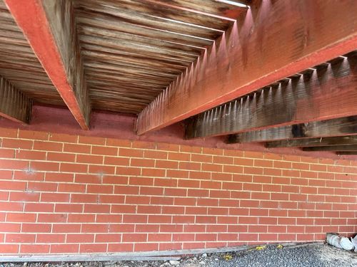 IMG_0453 Large.jpeg IMG_0453 Large.jpeg