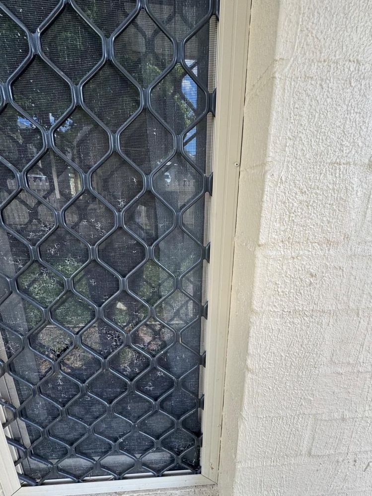 window9.jpeg window9.jpeg