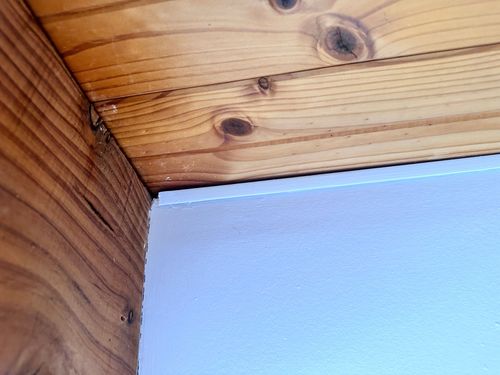 IMG_5999.jpeg IMG_5999.jpeg