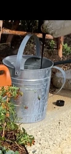 A98BAAB5-4338-4535-806A-70E62A88EF45.jpeg A98BAAB5-4338-4535-806A-70E62A88EF45.jpeg