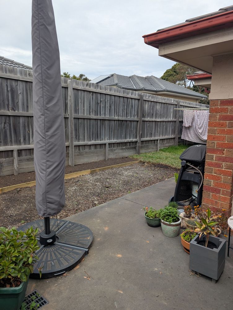 PXL_20251025_023242804.jpg PXL_20251025_023242804.jpg