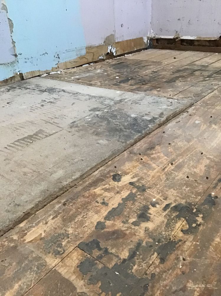 IMG_1001.jpeg IMG_1001.jpeg