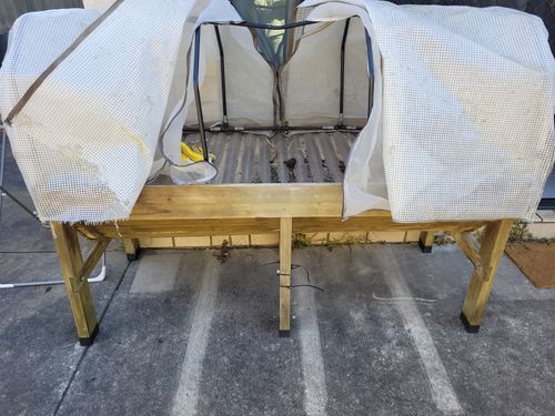 20250731_122654.jpg 20250731_122654.jpg