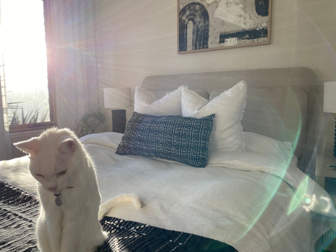 Photo 28-6-22, 4 13 42 pm.jpg Photo 28-6-22, 4 13 42 pm.jpg