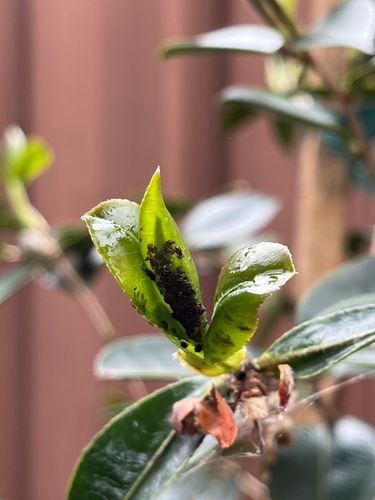 IMG_5441.jpeg IMG_5441.jpeg